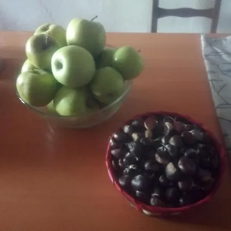 Il Castellino Apartment Guarene